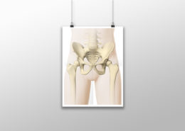 HIP